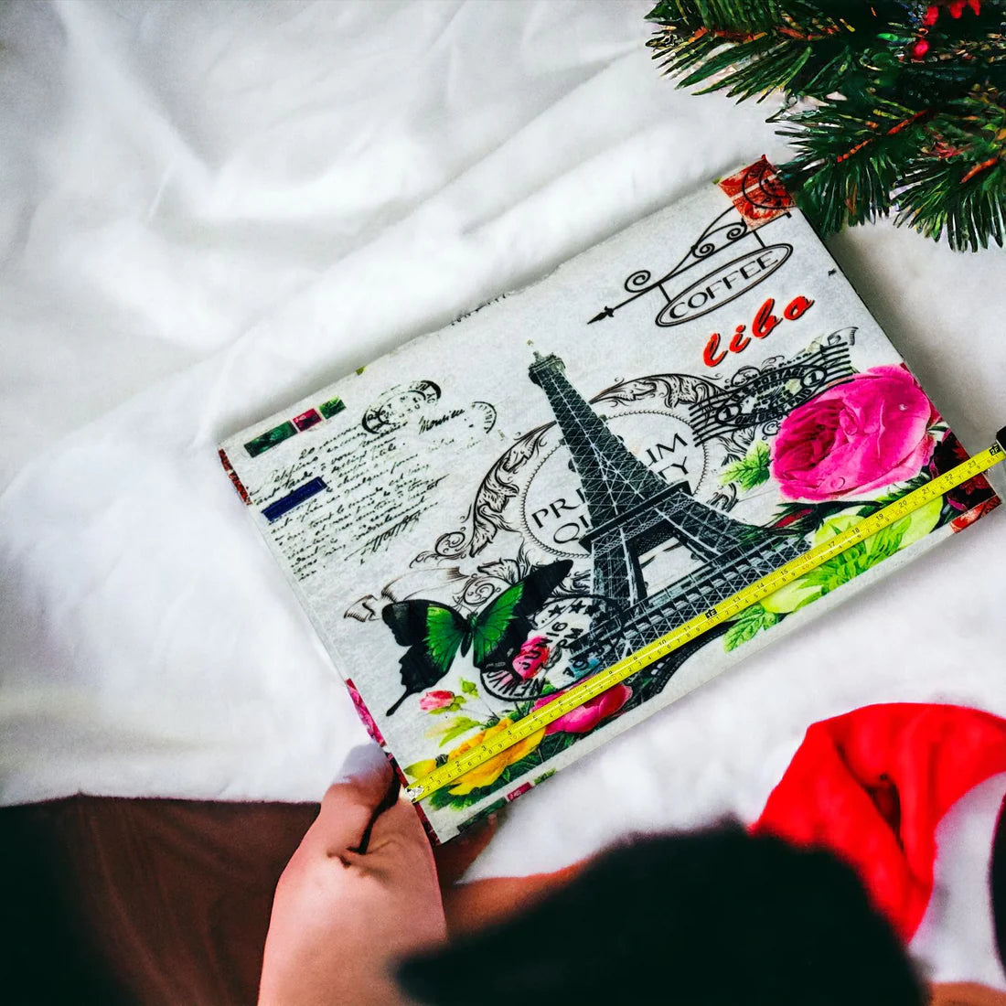 Imported and High Quality Paris Floor Mat | 2 pieces set