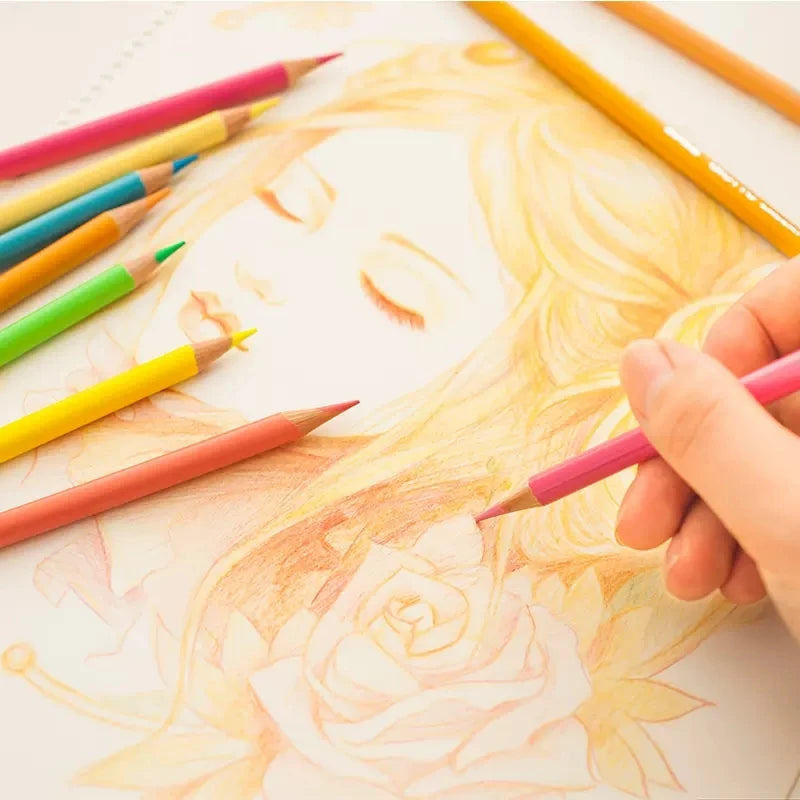 Excellent 12 Colour Pencils | pack of 3