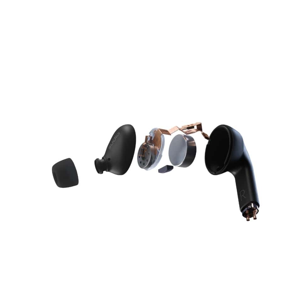 Disassembled earbud