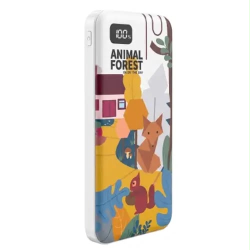 10000mAh Fast Charging Power Bank with Digital Display | Portable Power Bank